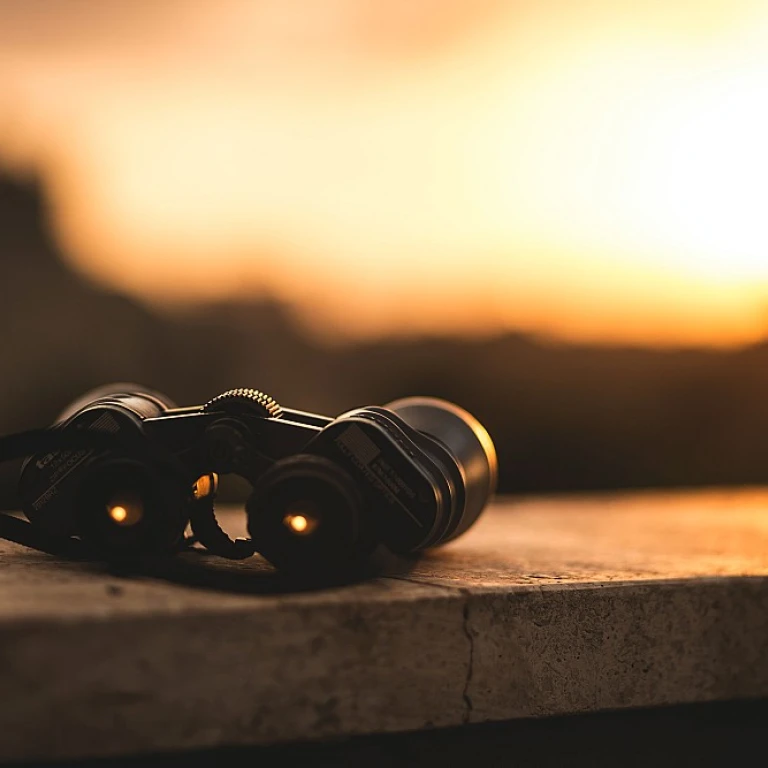 Understanding the Role of a Job Applicant in Tech Hiring